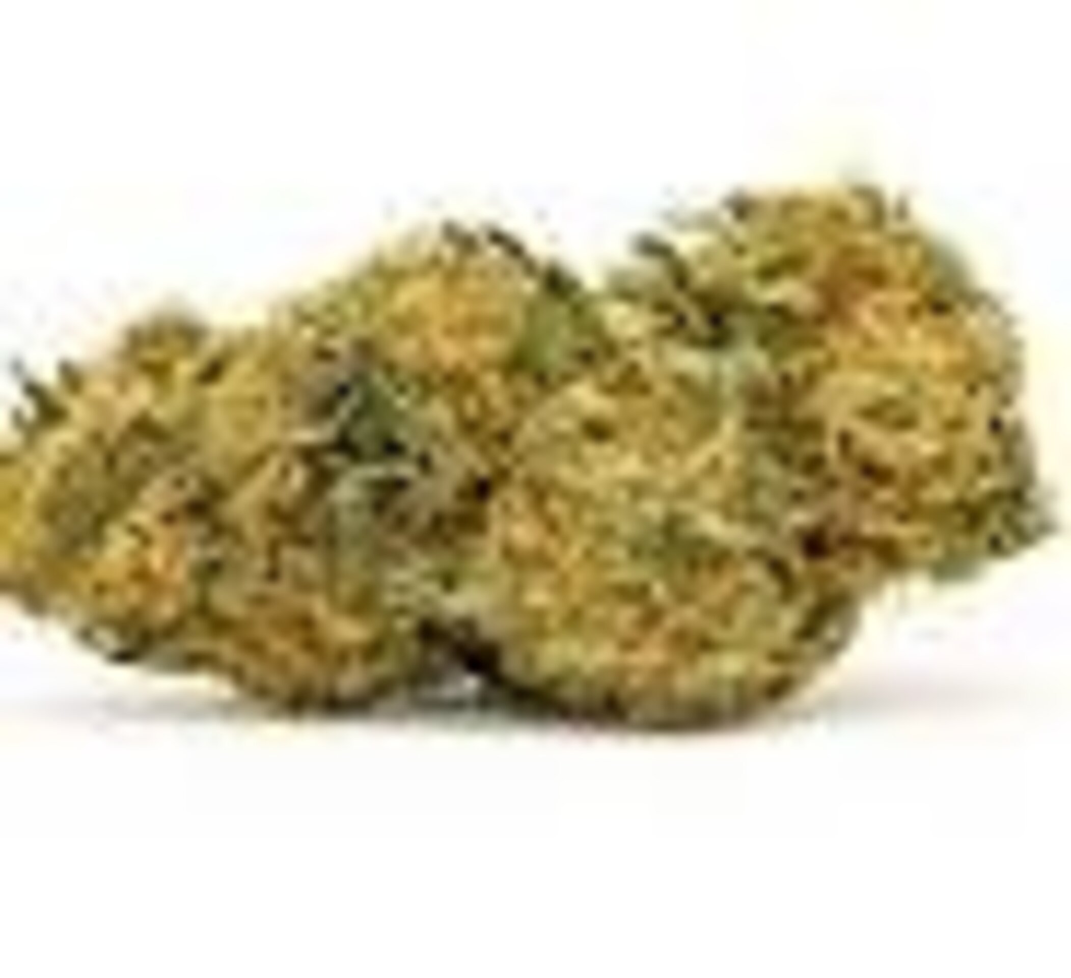 Flores CBD NINJA FRUIT (Strawberry Kush x Watermelon) - 2