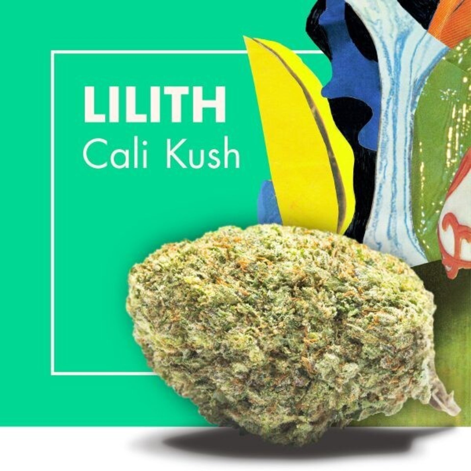 Flores de CBD LILITH (Cali Kush) - 2