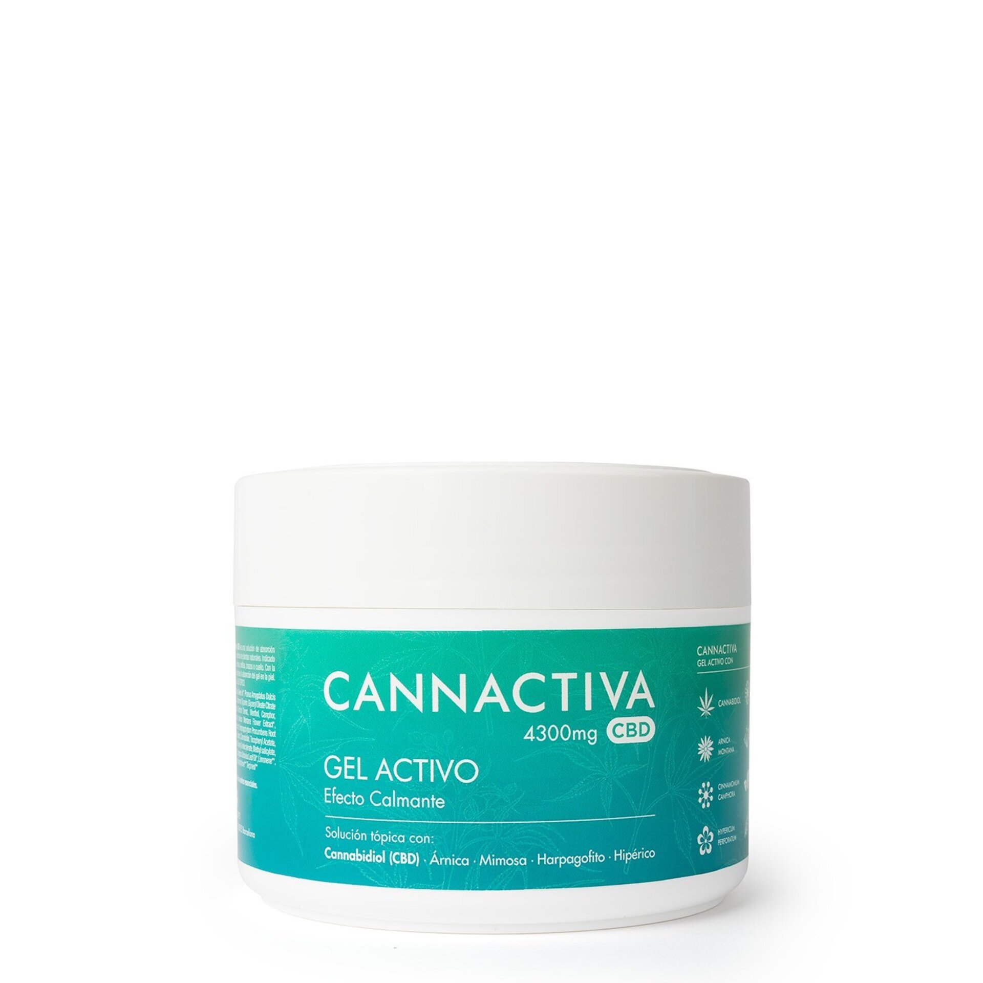 Crema CBD Cannactiva – Fisioterapia - 2